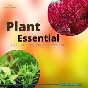 Plant Essential