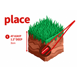 Placement example