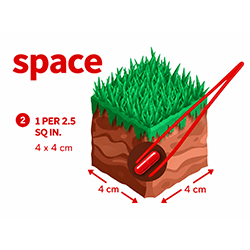 Area example