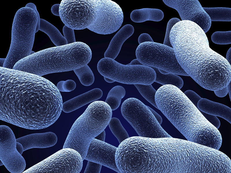 Beneficial Bacteria in Aquarium