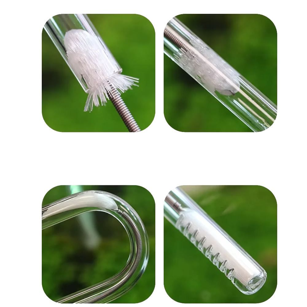 Aquario River Skimmer maintenance
