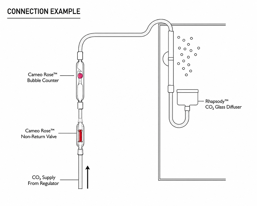 LGND Cameo Rose bubble counter installed