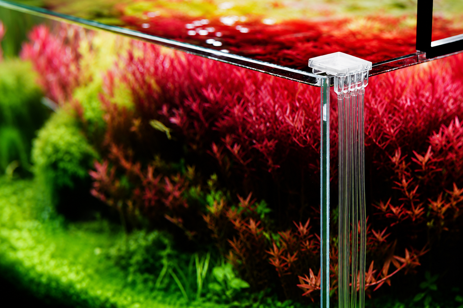 Dosing Tube Holder Kit installed on aquarium