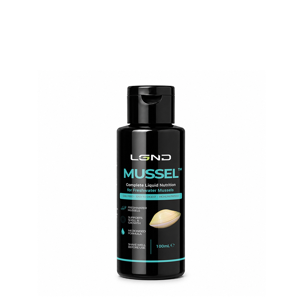 LGND Mussel